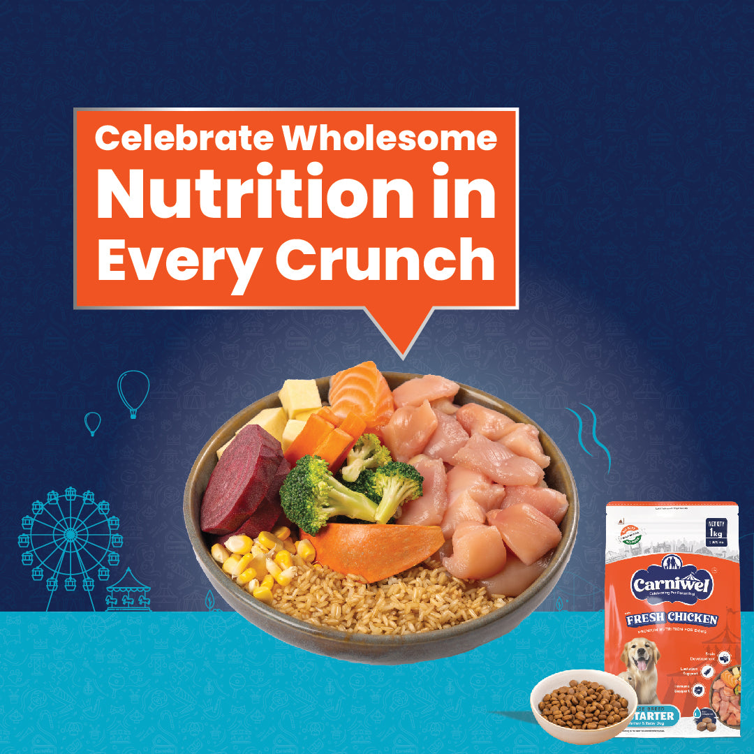 Carniwel with Fresh Chicken, Dry Dog Food for Large Breed, Starter