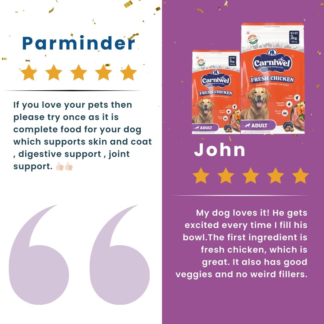 Carniwel with Fresh Chicken, Dry Dog Food for Large Breed, Adult