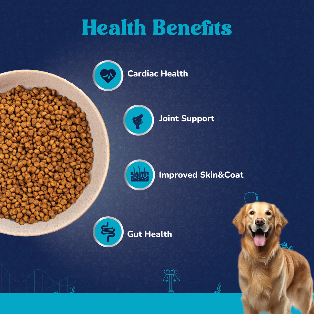 Carniwel with Veg Superfoods, Dry Dog Food for Large Breed, Adult