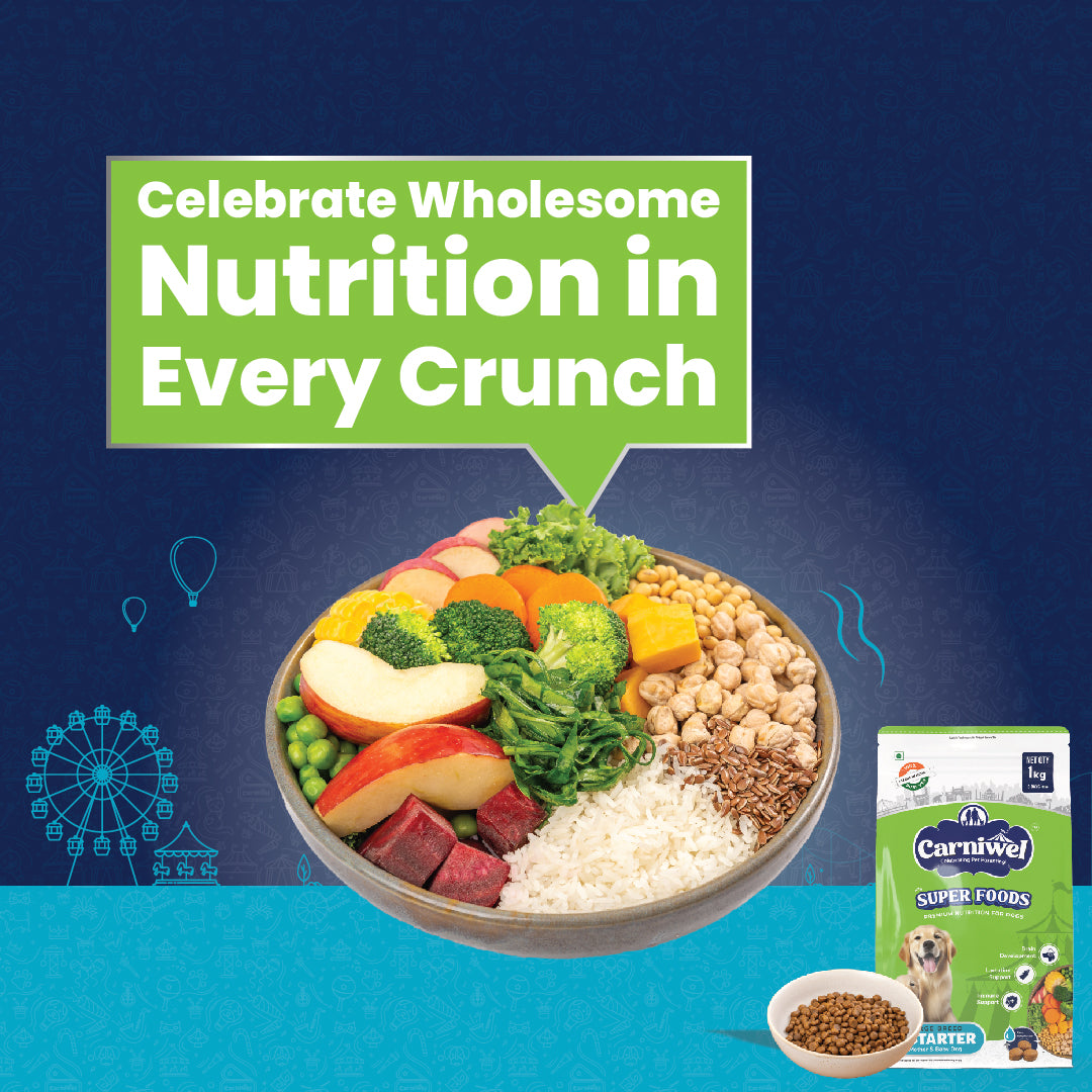 Carniwel with Veg Superfoods, Dry Dog Food for Large Breed, Starter