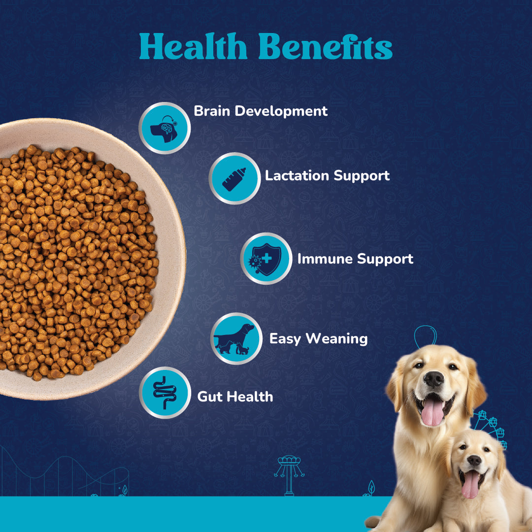 Carniwel with Veg Superfoods, Dry Dog Food for Large Breed, Starter