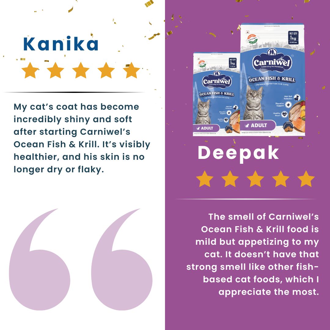 Carniwel with Ocean Fish & Krill, Dry Cat Food, Adult