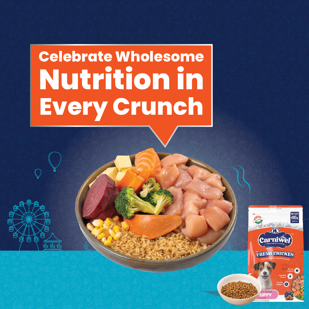 Carniwel with Fresh Chicken, Dry Dog Food for Small Breed, Puppy