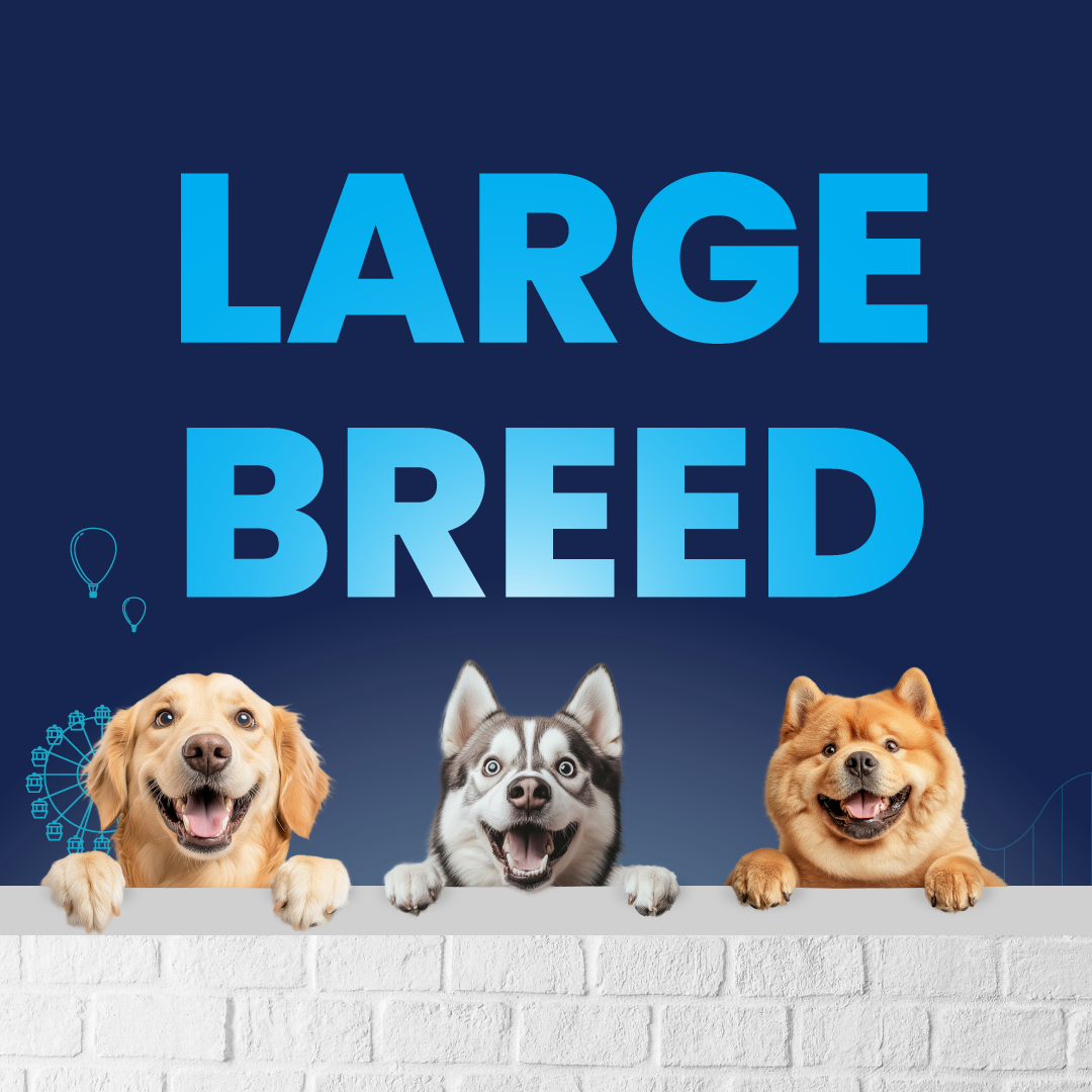 Carniwel with Fresh Lamb, Dry Dog Food for Large Breed, Starter
