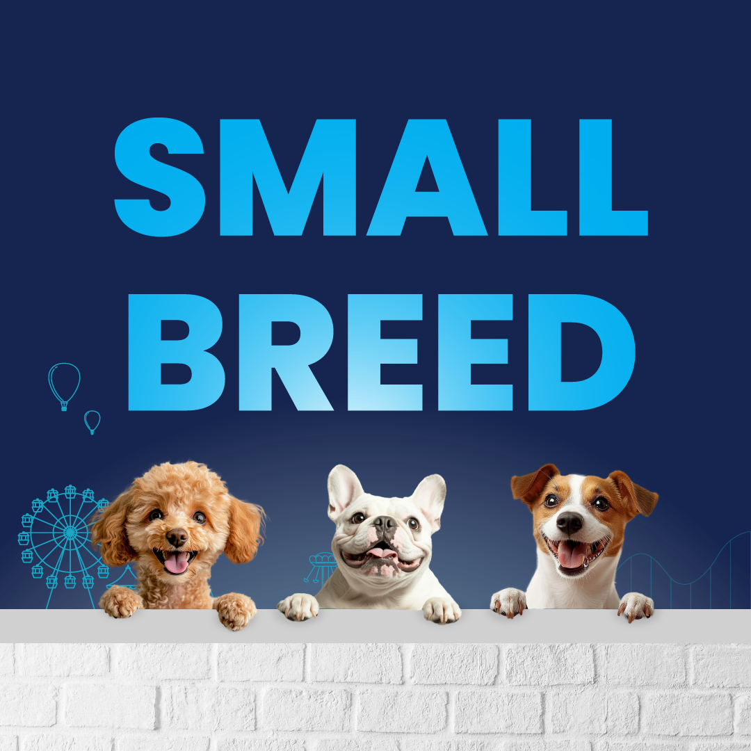 Carniwel with Fresh Chicken, Dry Dog Food for Small Breed, Starter